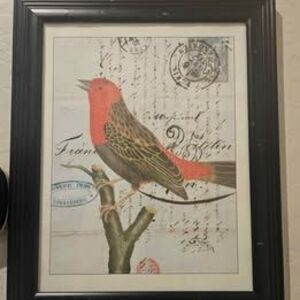 Set of 2 Framed Bird Pictures Prints 13" X 15"